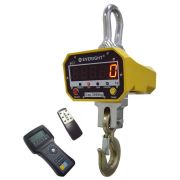 Весы крановые Everight OCS-SL-5 с ПДУ280